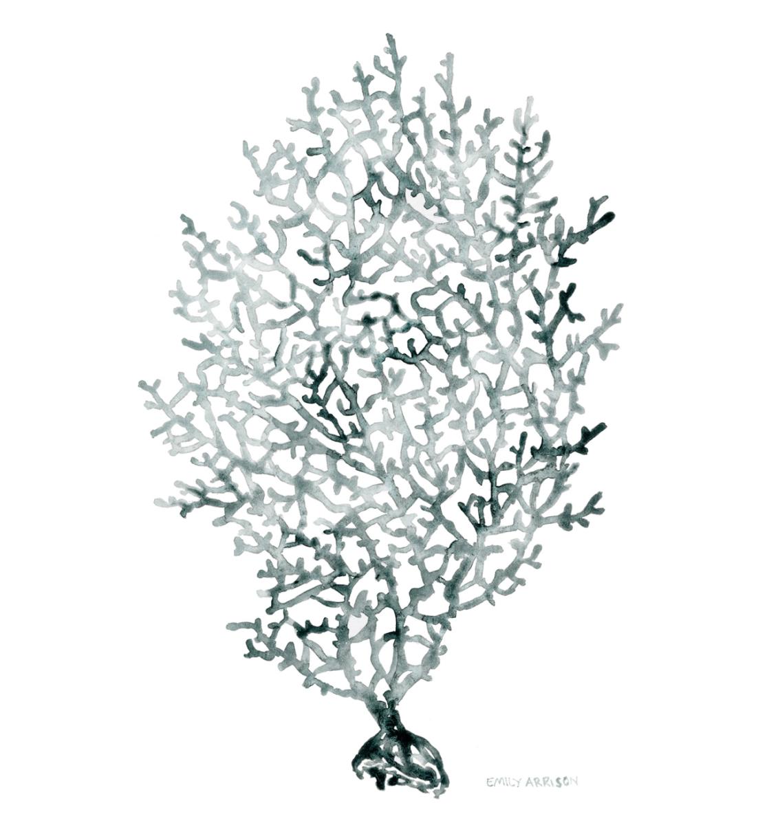 Sea Fan Print