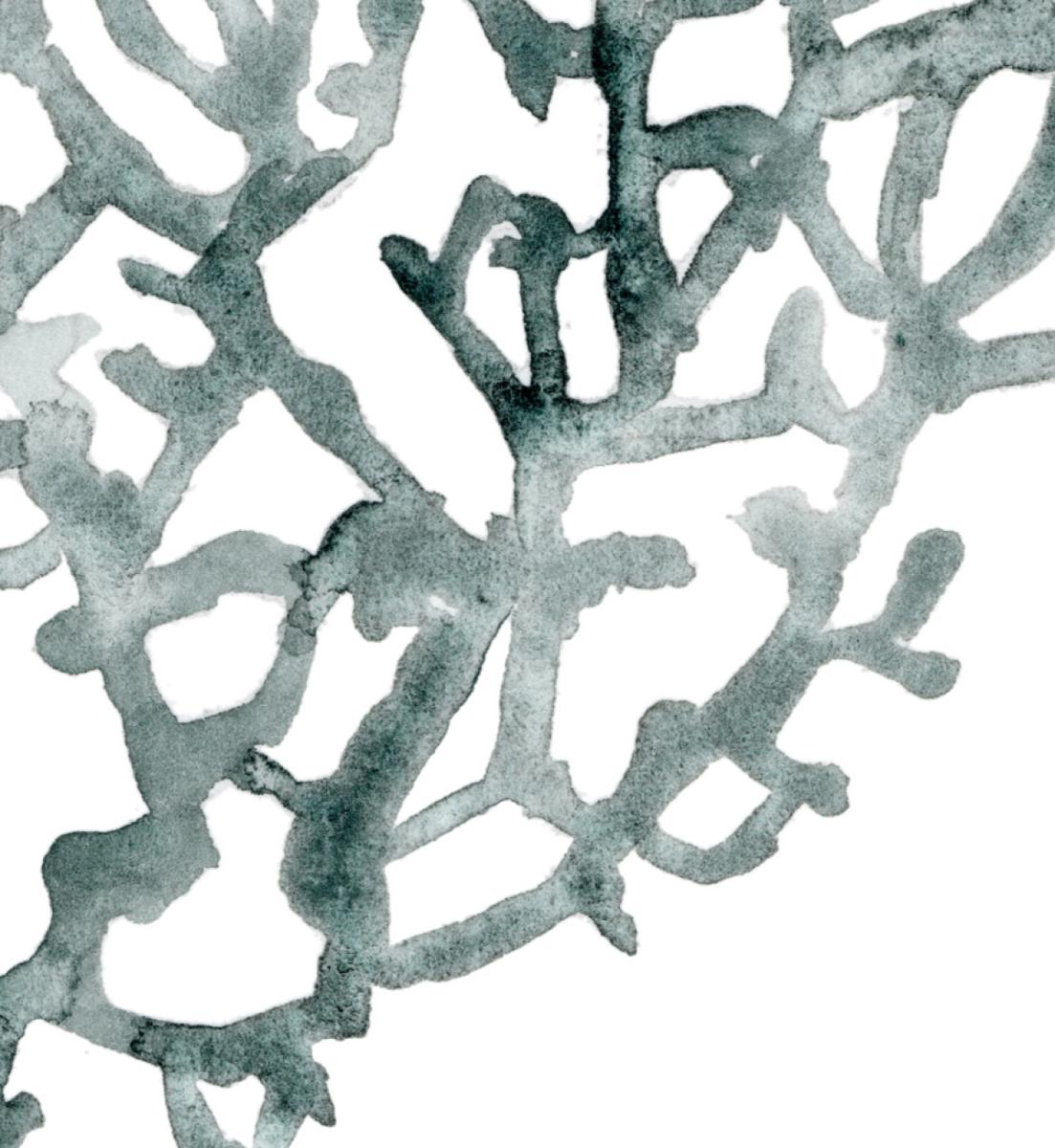 Sea Fan Print