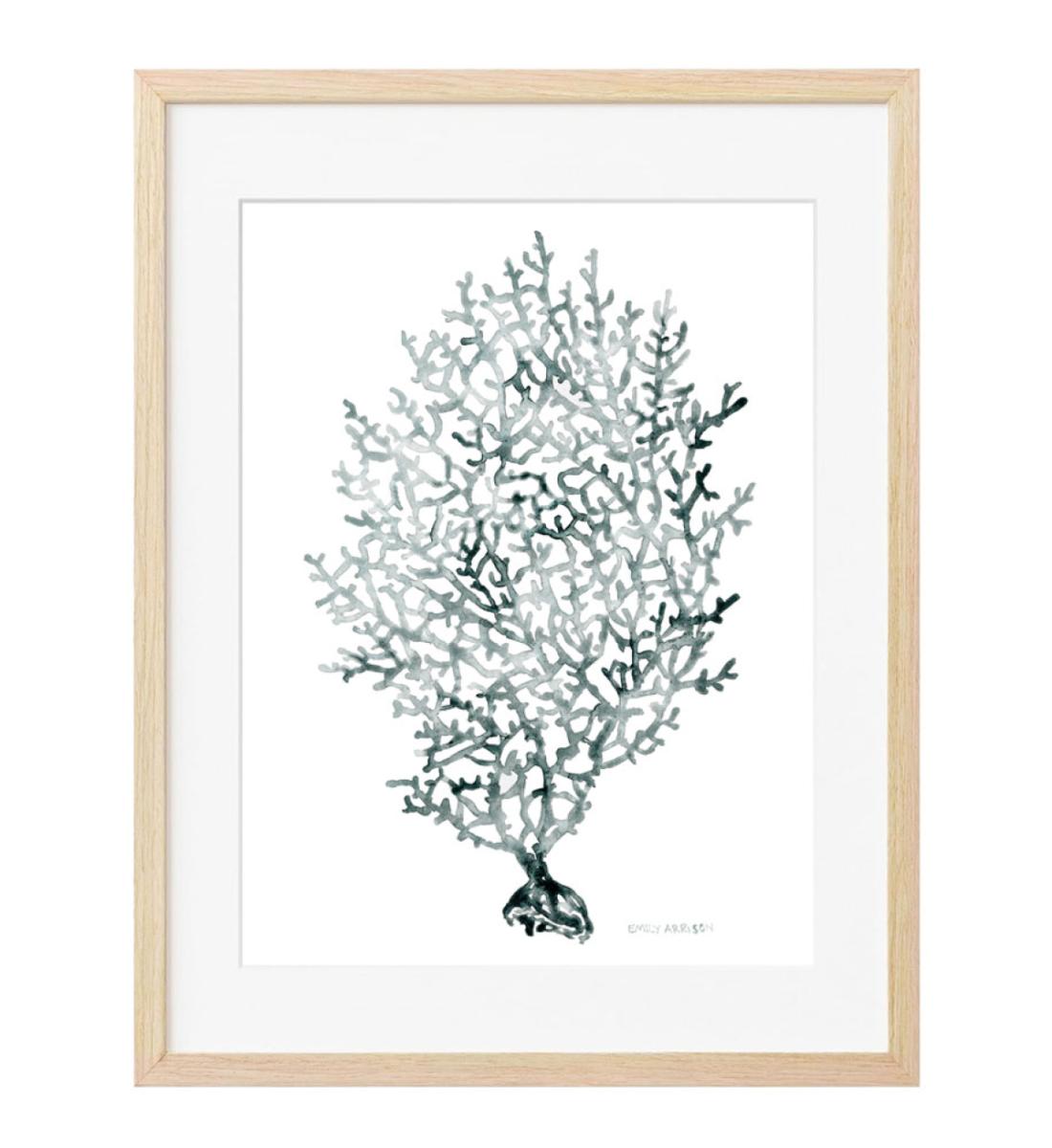 Sea Fan Print