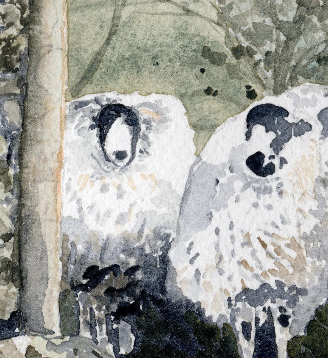 Cotswold Sheep Print