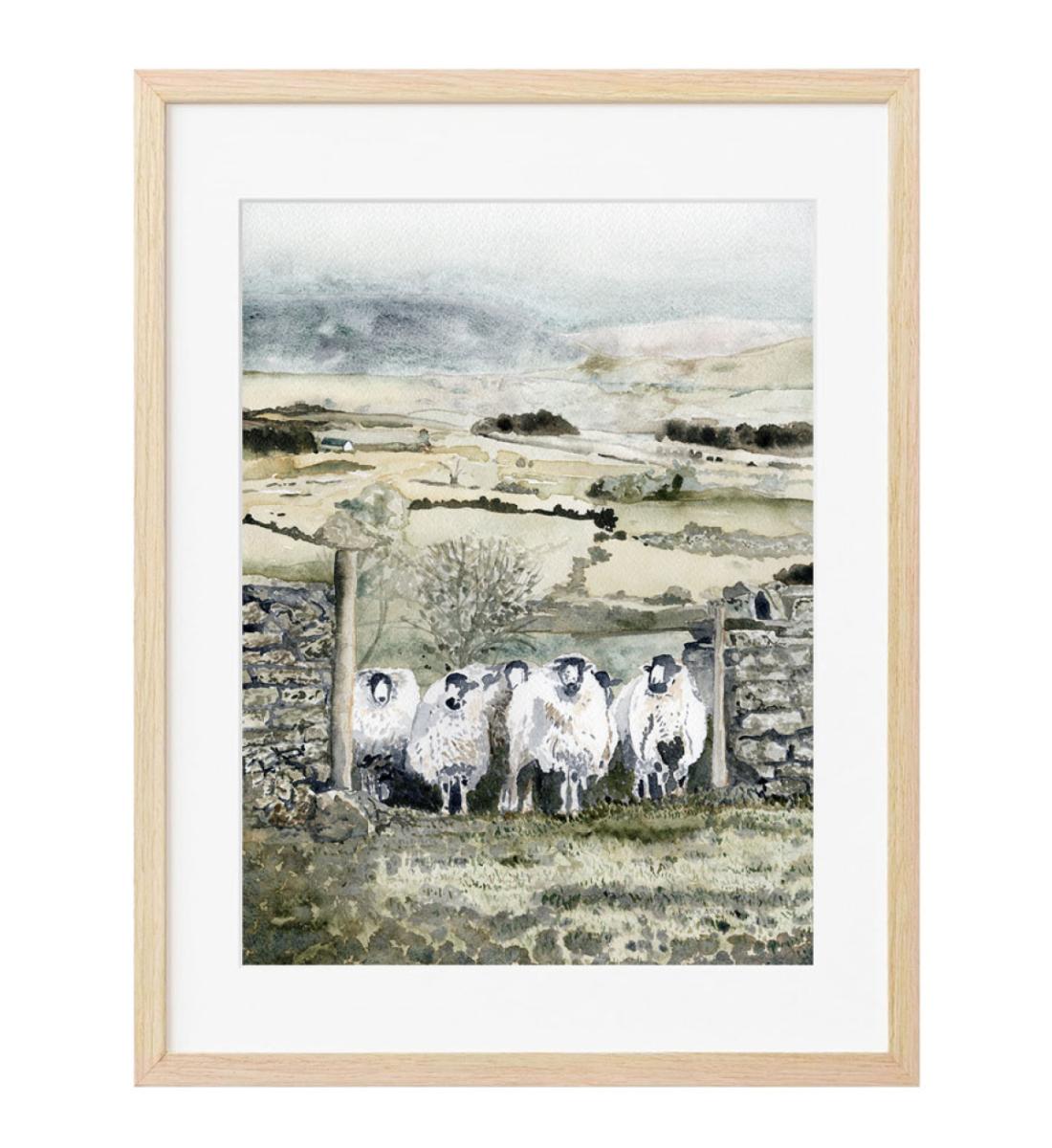 Cotswold Sheep Original
